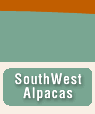 Southwest Alpacas