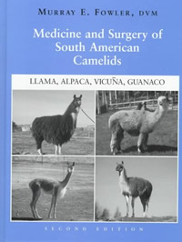 Medicine and Surgery of
South American Camelids