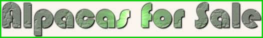 For Sale Sign